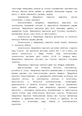 Nedarbas bei užimtumo politika Lietuvoje 4 puslapis