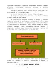 Nedarbas bei užimtumo politika Lietuvoje 8 puslapis