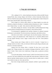 Norvegija ir jos ekonominė geografija 3 puslapis