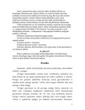 Pinigų vaidmuo ekonomikoje 15 puslapis