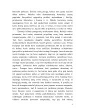 Pinigų vaidmuo ekonomikoje 4 puslapis