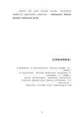 Prekybos įmonių tipai 11 puslapis
