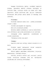 Prekybos įmonių tipai 6 puslapis