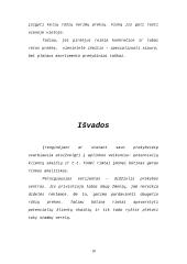 Prekybos įmonių tipai 10 puslapis