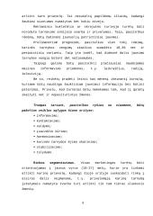 Privalomos karinės tarnybos vengimo priežastys ir marketingo aplinkos sąlygų šiai problemai spresti taikymas 7 puslapis