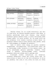 Suomijos rinkos analizė 4 puslapis