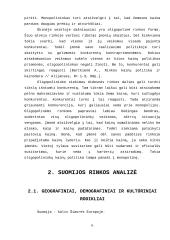 Suomijos rinkos analizė 5 puslapis