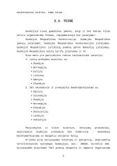 Suomijos rinkos analizė 7 puslapis