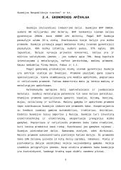 Suomijos rinkos analizė 8 puslapis