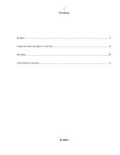 Vadovavimo teorijos ir stiliai 2 puslapis