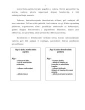 Vadovavimo teorijos ir stiliai 7 puslapis