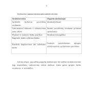 Vadovavimo teorijos ir stiliai 9 puslapis