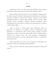 Vadovavimo teorijos ir stiliai 10 puslapis