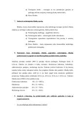Valdymo apskaita - analizuojantys klausimai 5 puslapis