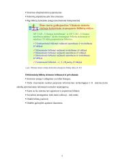 Vilniaus viešojo transporto plėtra 5 puslapis