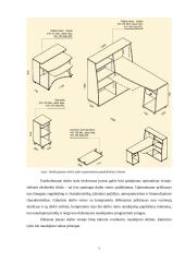 Ergonomikos projektas 6 puslapis