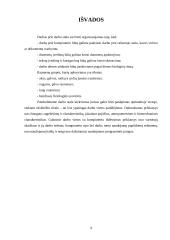 Ergonomikos projektas 8 puslapis