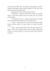 Ergonominis sprendimas sprendžiant iškeltą problemą 4 puslapis