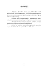 Ergonominis sprendimas sprendžiant iškeltą problemą 6 puslapis