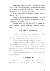 Kompiuterinio tinklo tobulinimas FF 19 puslapis