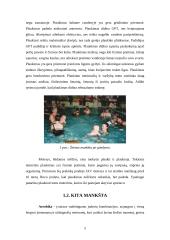 Nėščios moters mankšta 4 puslapis