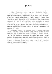 Vaiko auginimas 2 puslapis