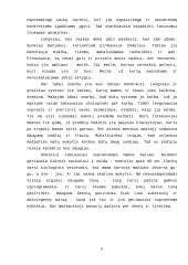 Vaiko auginimas 5 puslapis