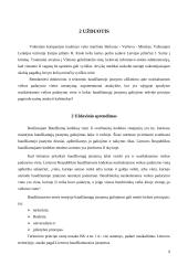 Baudžiamosios teisės uždaviniai (su sprendimais) 8 puslapis