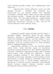 Deleguotoji įstatymų leidyba 4 puslapis