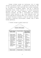 Europos Sąjungos valdymo institucijos 16 puslapis