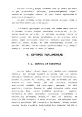 Europos Sąjungos valdymo institucijos 17 puslapis