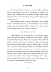 Europos Sąjungos valdymo institucijų reforma 13 puslapis