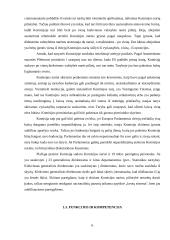 Europos Sąjungos valdymo institucijų reforma 5 puslapis