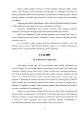 Europos Sąjungos valdymo institucijų reforma 6 puslapis