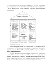 Europos Sąjungos valdymo institucijų reforma 8 puslapis