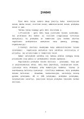 Nusikaltimų ekonomikai apžvalga 2 puslapis