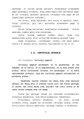 Nusikaltimų ekonomikai apžvalga 12 puslapis