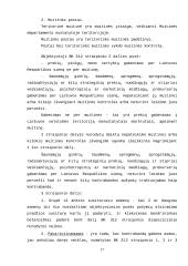 Nusikaltimų ekonomikai apžvalga 17 puslapis