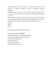 Elektroninis paštas delfi ir one (pašto panašumai ir skirtumai) 5 puslapis