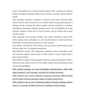 Elektroninis paštas delfi ir one (pašto panašumai ir skirtumai) 7 puslapis