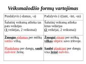 Veiksmažodžio formos : dalyvis 3 puslapis