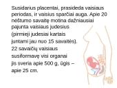 Nuo vienos ląstelės iki organizmo 17 puslapis