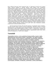 Emalio spalvos 2 puslapis