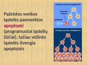 Mutacijos ir paveldimos ligos 17 puslapis