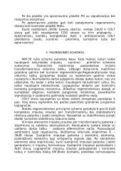 Plesiochroninė skaitmeninė hierarchija 2 puslapis