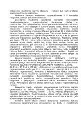 Plesiochroninė skaitmeninė hierarchija 4 puslapis