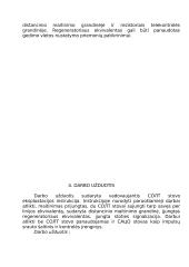 Plesiochroninė skaitmeninė hierarchija 5 puslapis