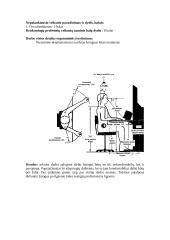 Valdymo pultų ir prietaisų ergonominis įvertinimas 3 puslapis