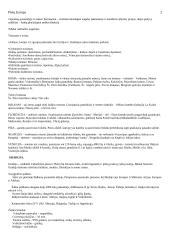 Pietų Europos regionas: Italija, Graikija ir Portugalija 2 puslapis