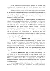 Vokietijos mentalitetas 4 puslapis